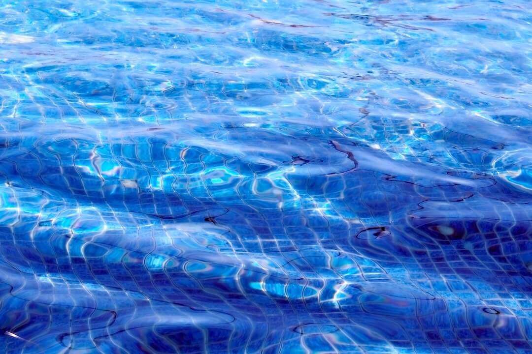 Why Florida's Climate Demands Proactive Sanitation Image